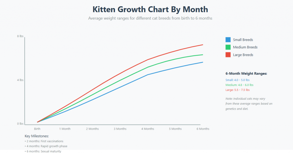 Kitten Size Chart