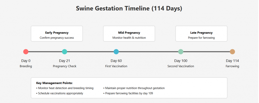 Swine Gestation Chart